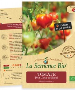 Tomate petit coeur de boeuf bio