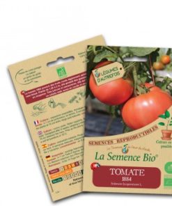 tomate 1884 bio